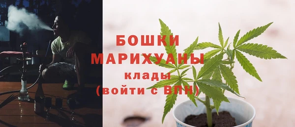 крисы Новодвинск