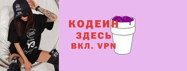 крисы Новодвинск