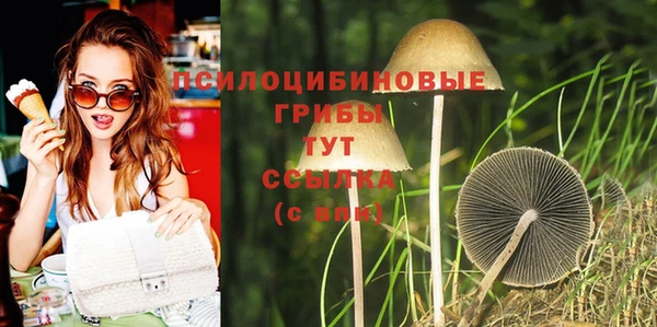 не бодяженный Нефтегорск