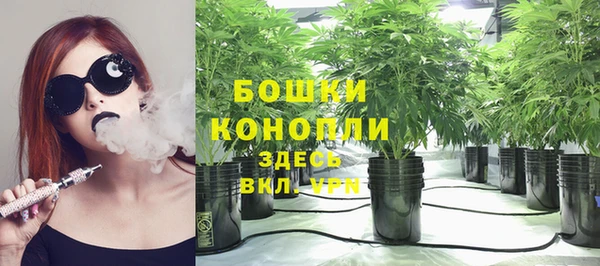 крисы Новодвинск