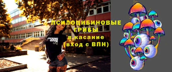 крисы Новодвинск