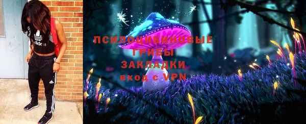 сатива Белая Холуница