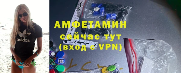 крисы Новодвинск