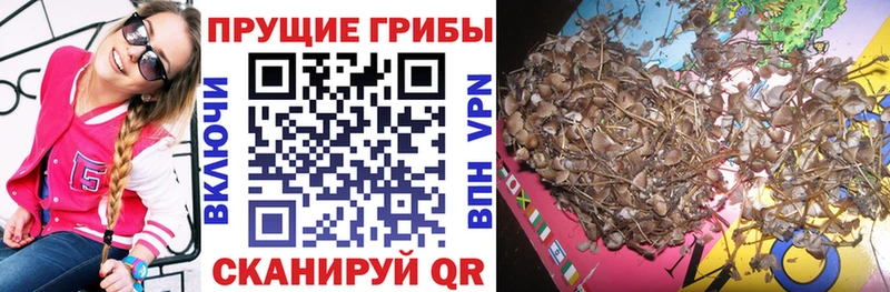 купить наркоту  Берёзовский  Галлюциногенные грибы ЛСД 